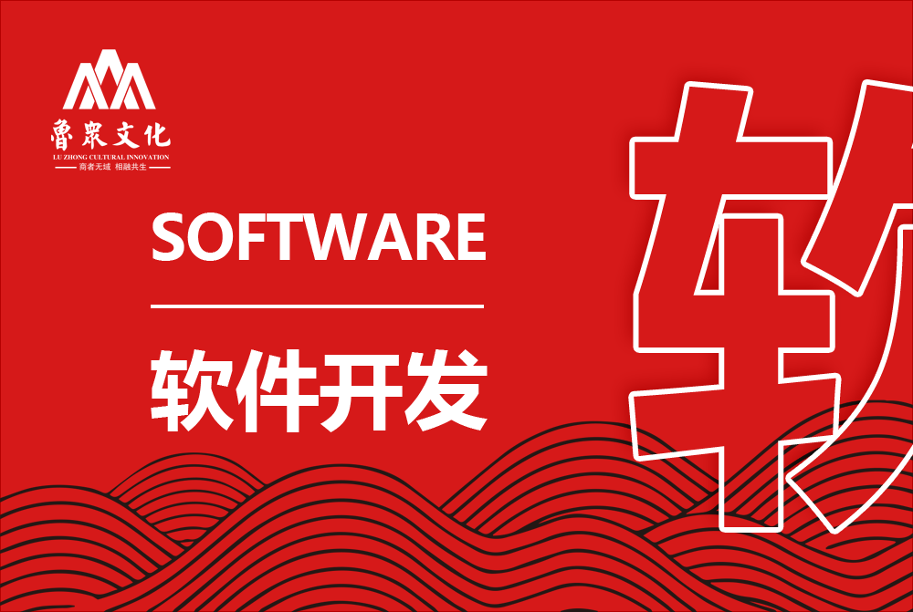 软件开发