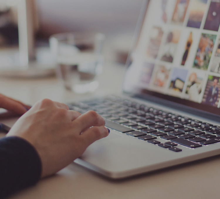 鲁众文化成功案例