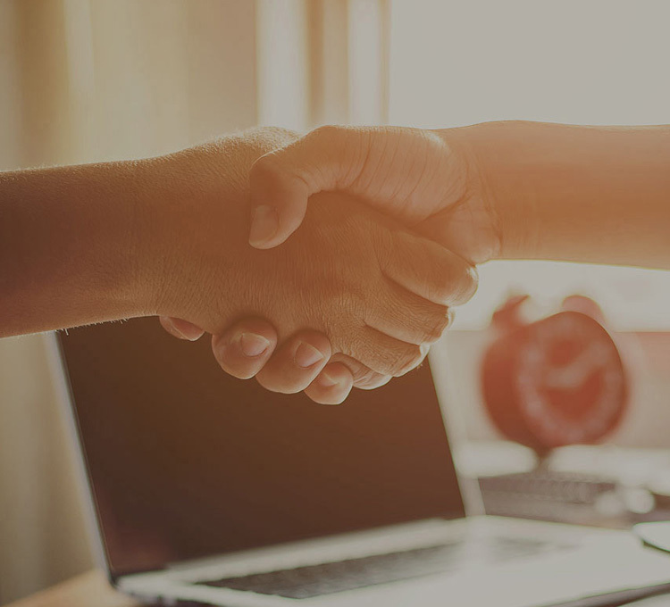 鲁众文化人才招聘